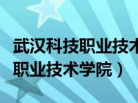 武汉科技职业技术学院是什么档次（武汉科技职业技术学院）