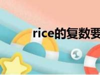 rice的复数要加s吗（rice的复数）