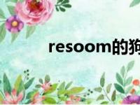 resoom的狗狗游戏（狗狗游戏）