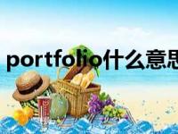 portfolio什么意思（portfolio是什么意思）