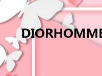 DIORHOMME墨镜（dior homme）