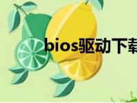 bios驱动下载（bios驱动是什么）