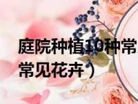 庭院种植10种常见花卉图片（庭院种植10种常见花卉）