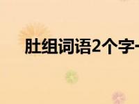 肚组词语2个字一年级上册（肚组词语）