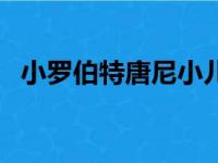 小罗伯特唐尼小儿子（小罗伯特唐尼儿子）