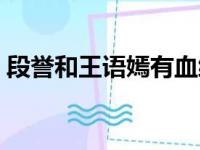 段誉和王语嫣有血缘关系吗（段誉和王语嫣）