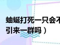 蚰蜒打死一只会不会引来很多（蚰蜒打死一只引来一群吗）