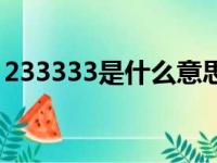 233333是什么意思呀（233333是什么意思）