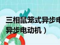 三相鼠笼式异步电动机不能采用（三相鼠笼式异步电动机）