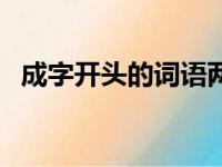 成字开头的词语两个字（成字开头的词语）