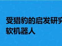 受猎豹的启发研究人员构建了迄今为止最快的软机器人