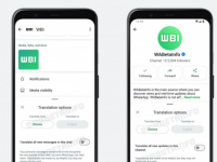 WhatsApp 正在致力于频道更新翻译 并推出新的通话功能